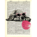 Dog With Pink Glasses