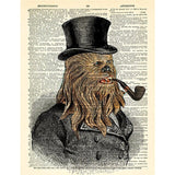 Star Wars Chewbacca