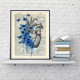 Heart Human Anatomy