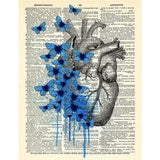 Heart Human Anatomy