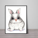 Baby Rabbit