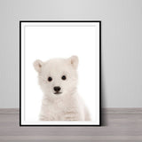 Baby Polar Bear